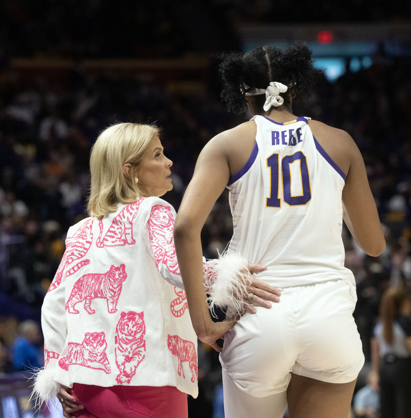 NO.lsuvirginiatech.120123 HS 495.jpg